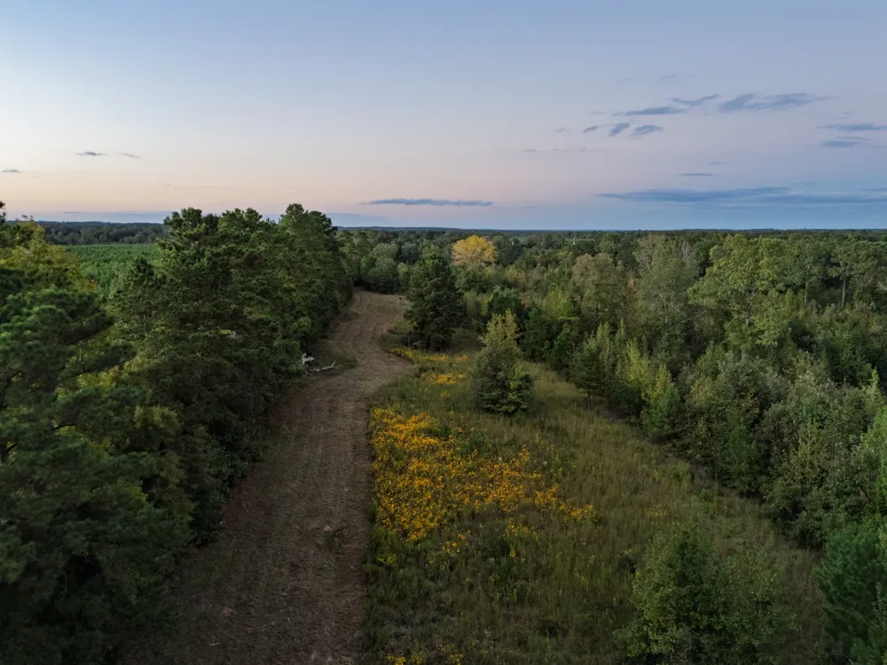 FM 1998 Karnack, TX 75661