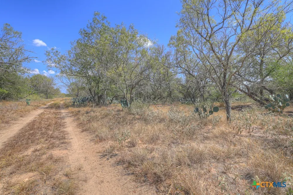 445 Single Oak Road Seguin, TX 78155