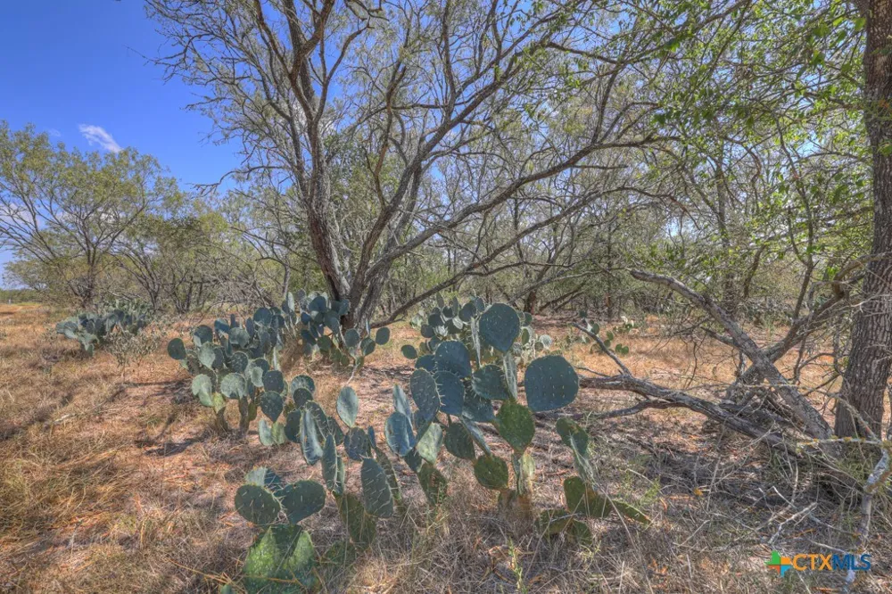445 Single Oak Road Seguin, TX 78155