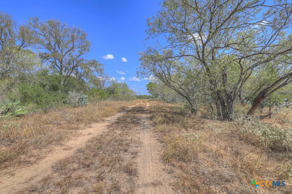 445 Single Oak Road Seguin, TX 78155
