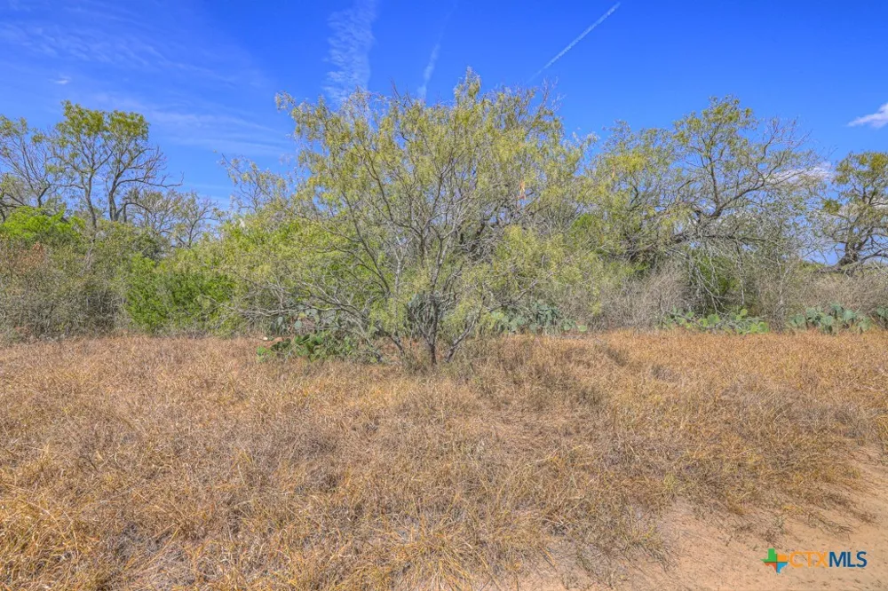 445 Single Oak Road Seguin, TX 78155
