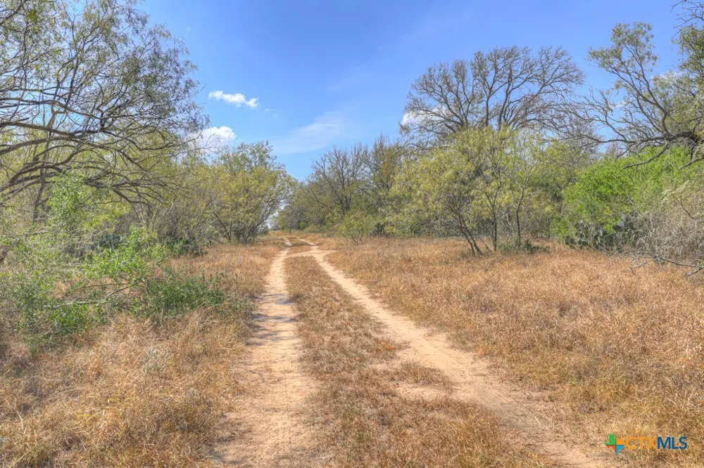 445 Single Oak Road Seguin, TX 78155