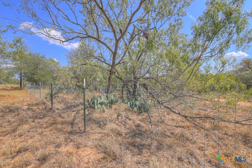 445 Single Oak Road Seguin, TX 78155