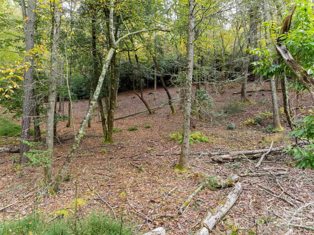 71 Happy Valley Drive Mills River, NC 28759
