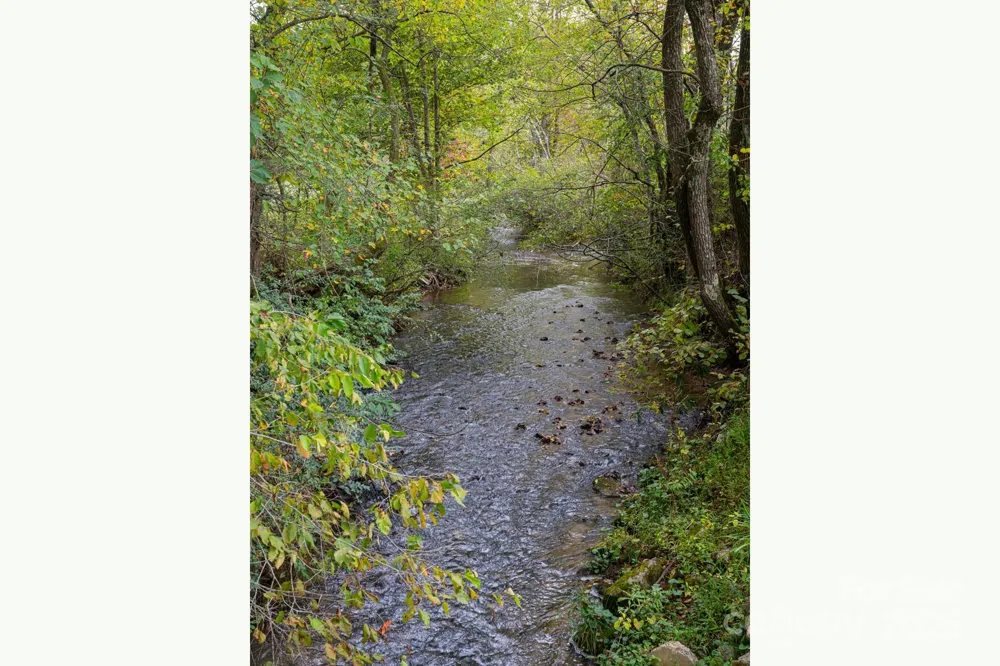 71 Happy Valley Drive Mills River, NC 28759