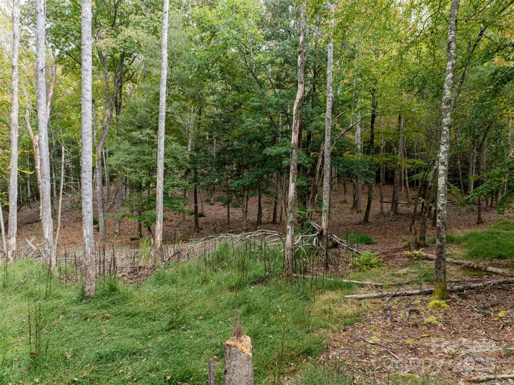 71 Happy Valley Drive Mills River, NC 28759