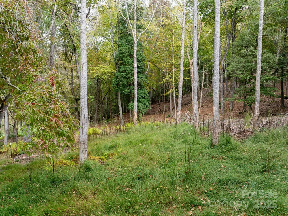 71 Happy Valley Drive Mills River, NC 28775