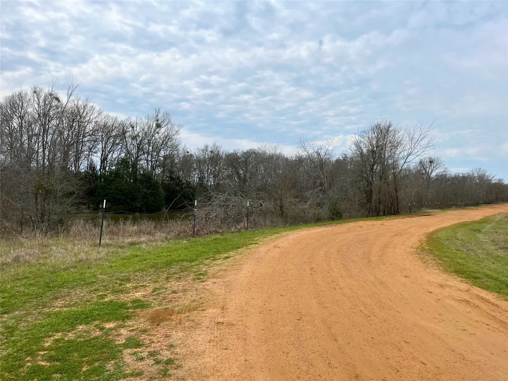 Private Road 8608 Tennessee Colony, TX 75861