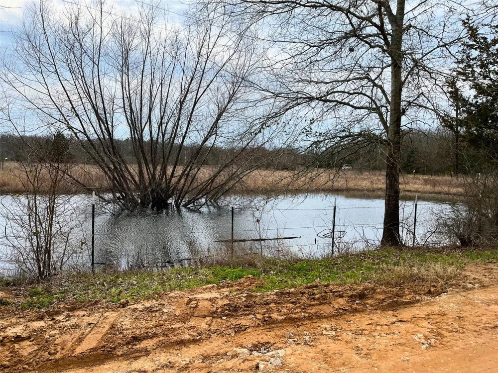 Private Road 8608 Tennessee Colony, TX 75861