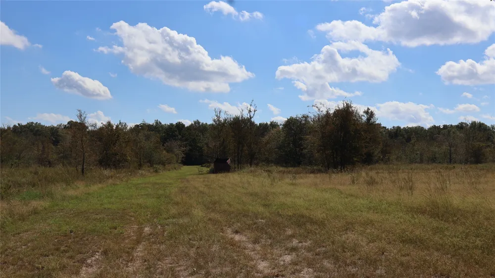 Private Road 8608 Tennessee Colony, TX 75861