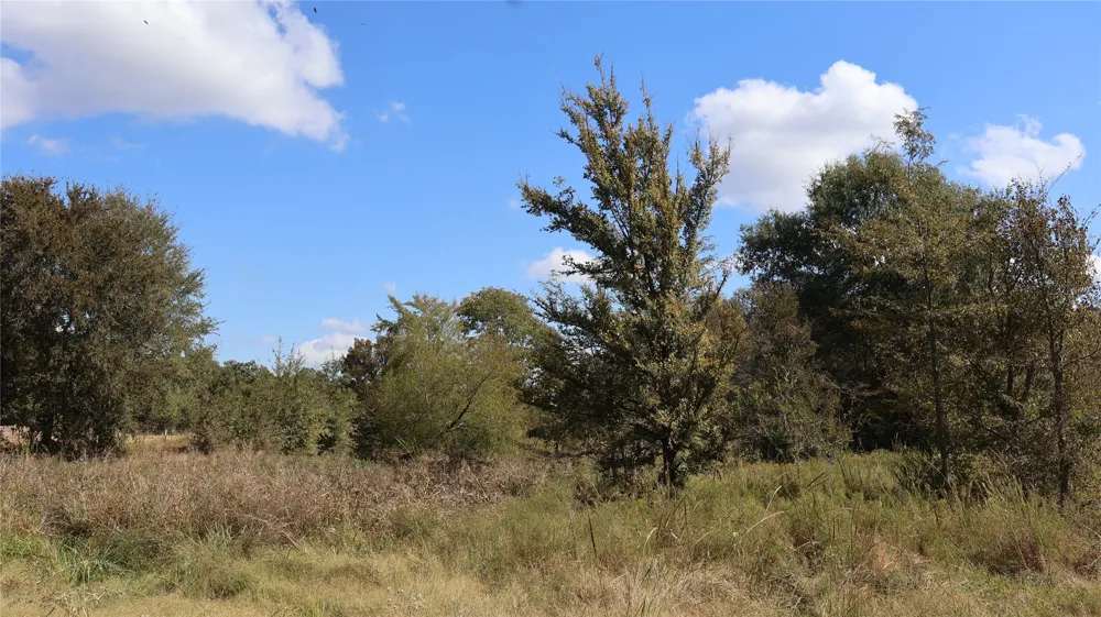 Private Road 8608 Tennessee Colony, TX 75861
