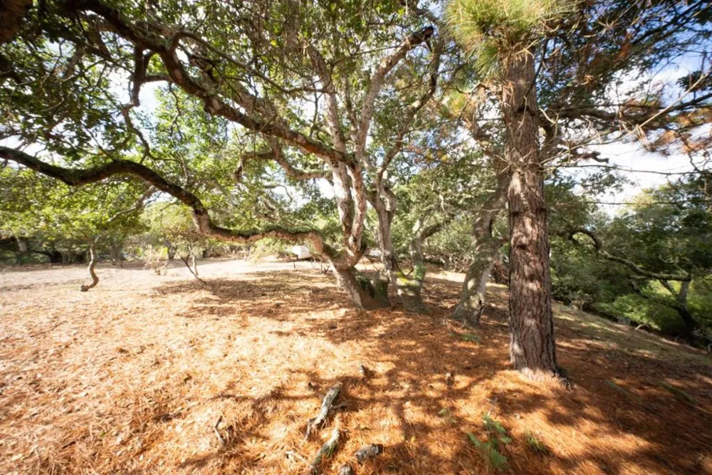 18221 Berta Canyon Road Salinas, CA 93907