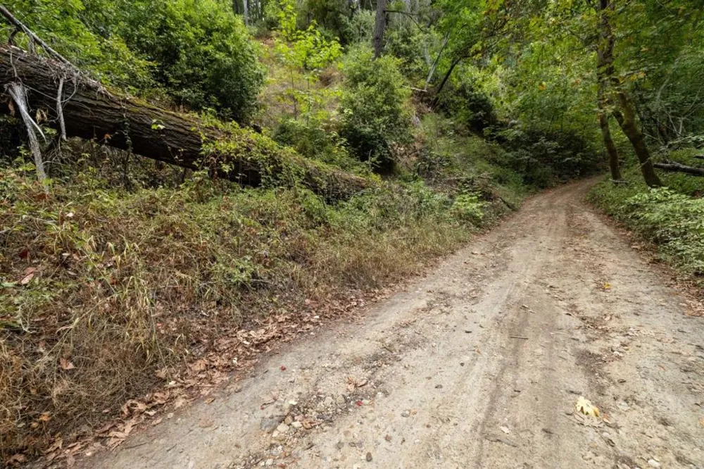 2 Bear Creek Boulder Creek, CA 95006
