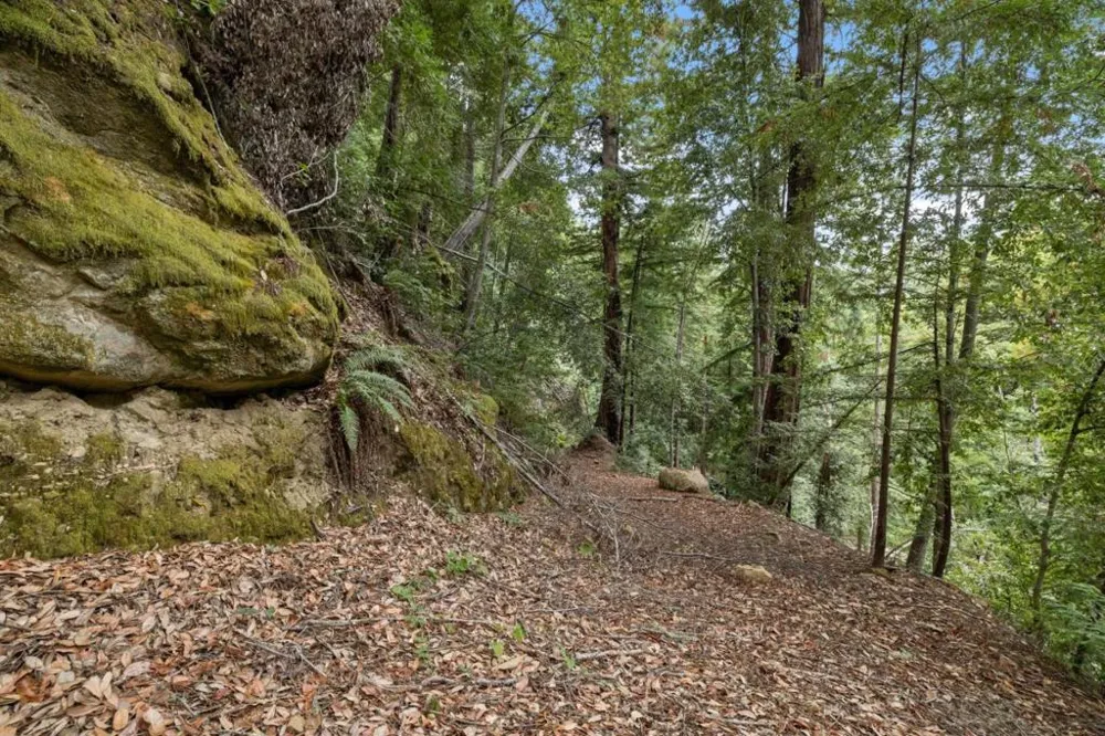 2 Bear Creek Boulder Creek, CA 95006