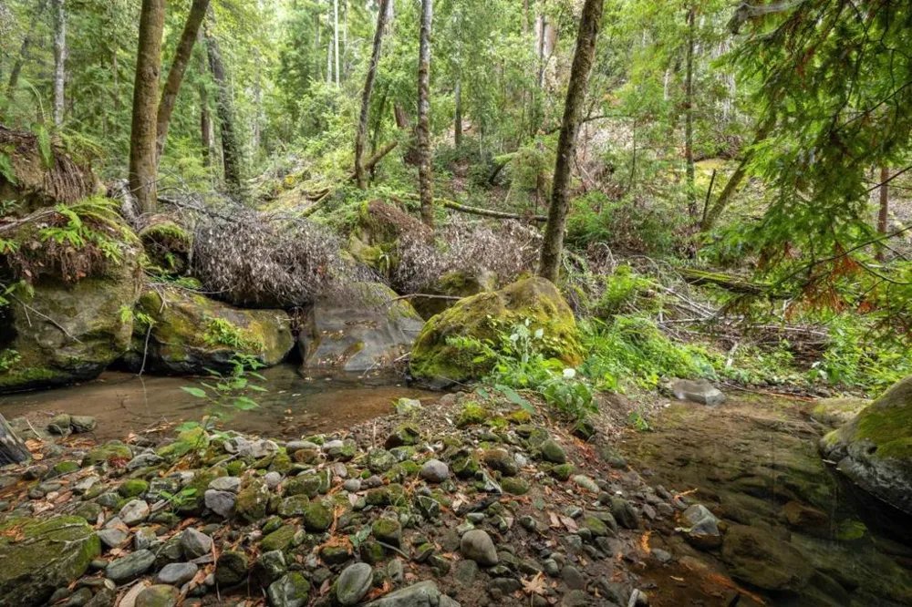 2 Bear Creek Boulder Creek, CA 95006