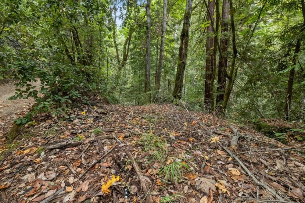 2 Bear Creek Boulder Creek, CA 95006
