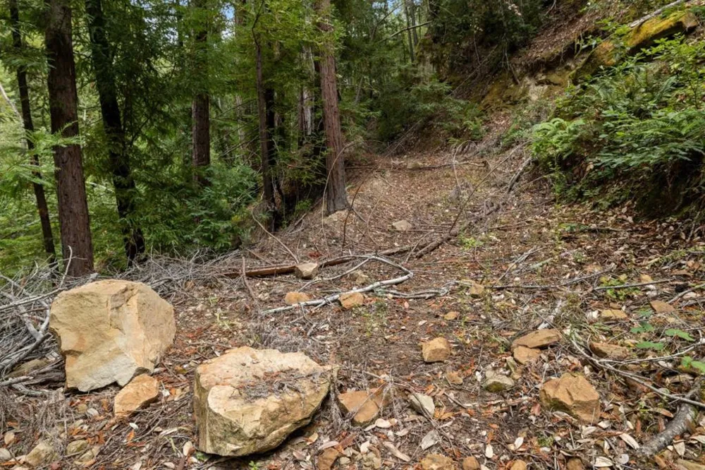 2 Bear Creek Boulder Creek, CA 95006