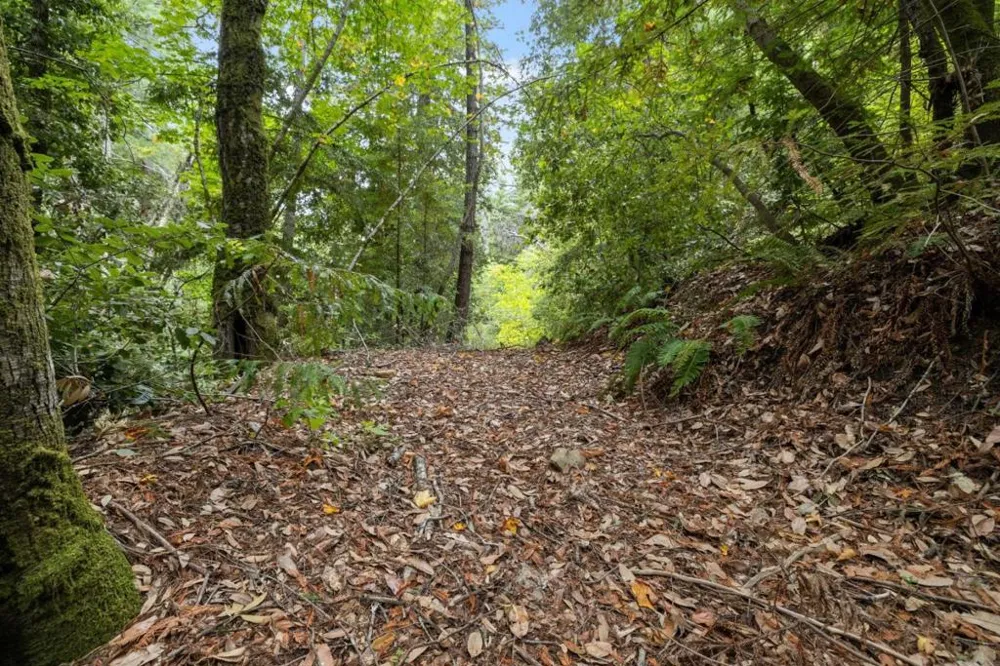 2 Bear Creek Boulder Creek, CA 95006