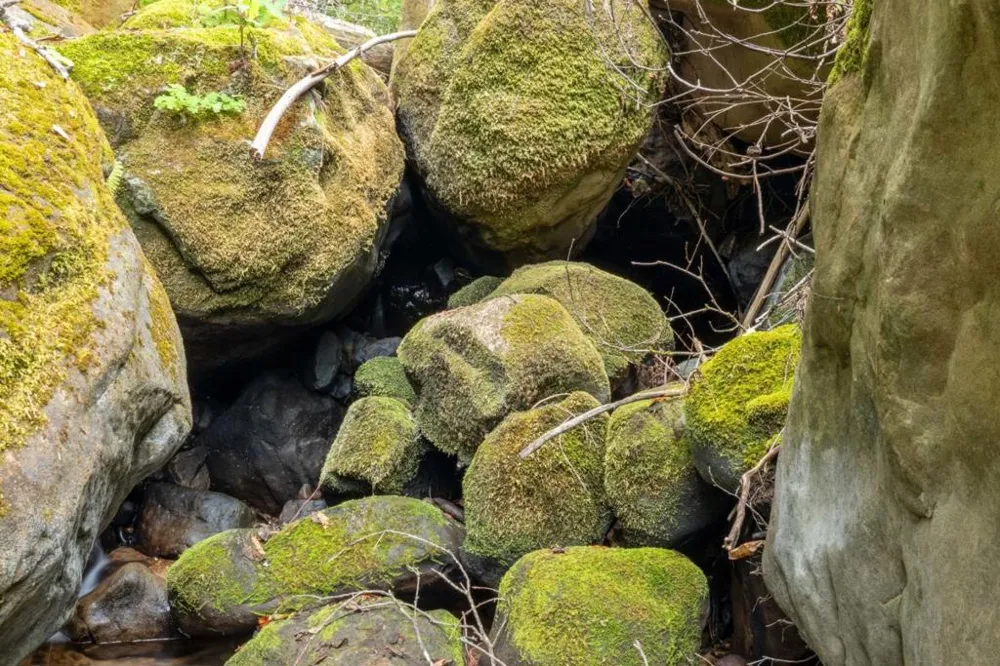 2 Bear Creek Boulder Creek, CA 95006