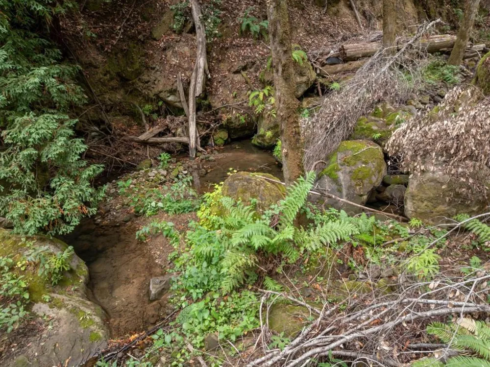 2 Bear Creek Boulder Creek, CA 95006