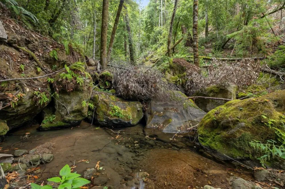 2 Bear Creek Boulder Creek, CA 95006