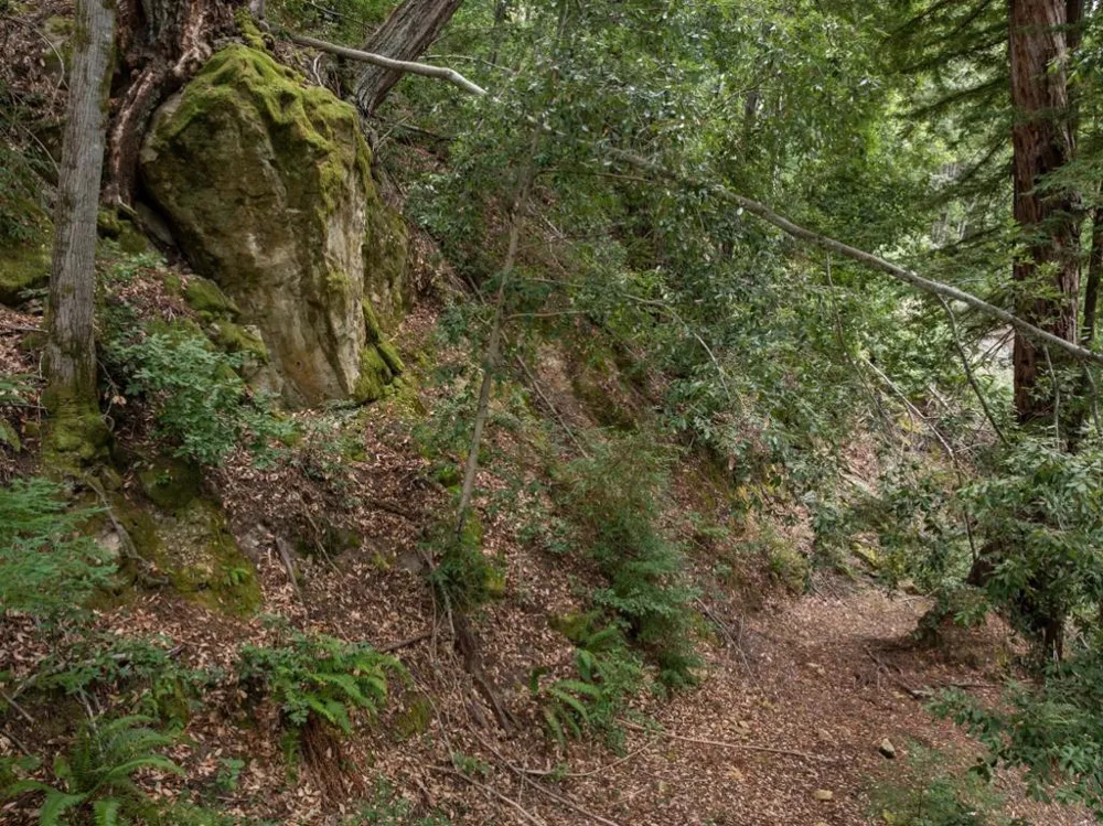 2 Bear Creek Boulder Creek, CA 95006
