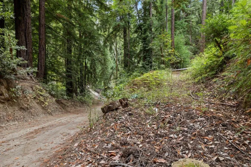 2 Bear Creek Boulder Creek, CA 95006