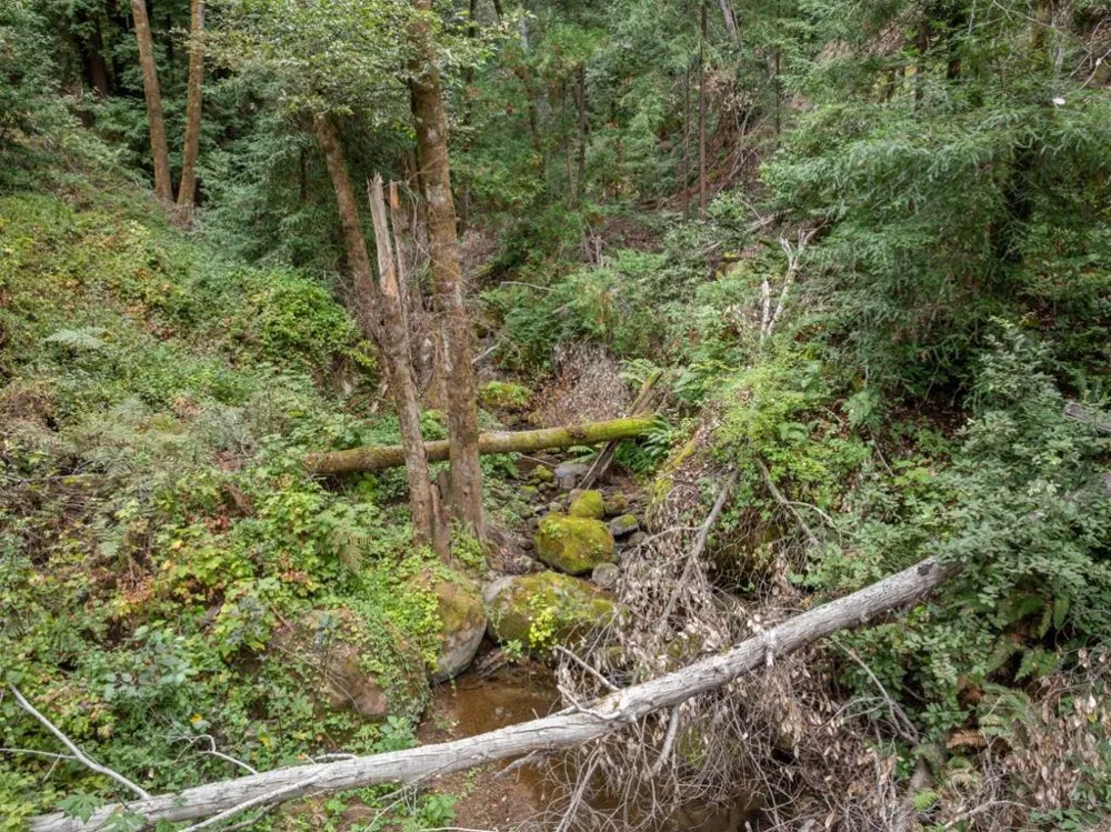 2 Bear Creek Boulder Creek, CA 95006