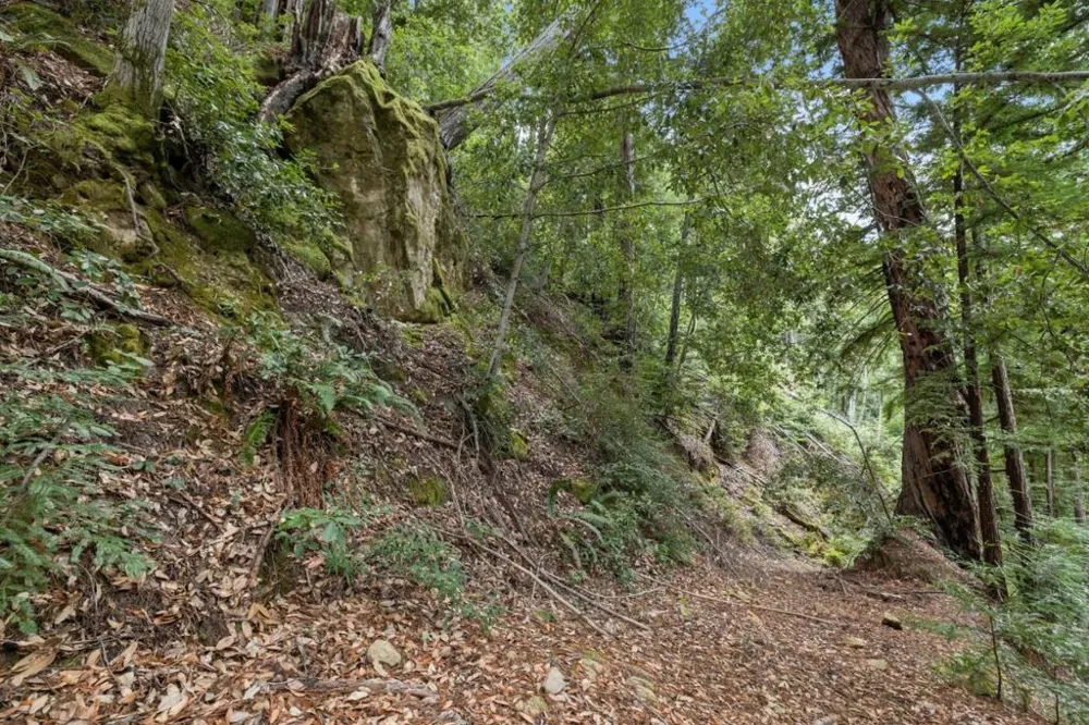 2 Bear Creek Boulder Creek, CA 95006