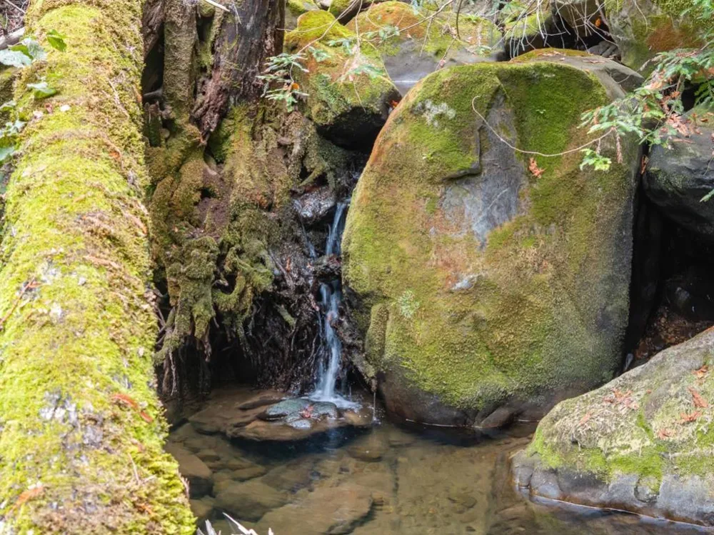 2 Bear Creek Boulder Creek, CA 95006