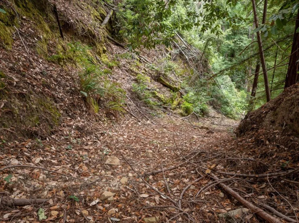 2 Bear Creek Boulder Creek, CA 95006