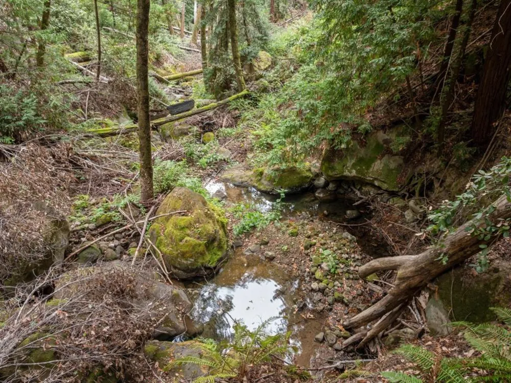 2 Bear Creek Boulder Creek, CA 95006