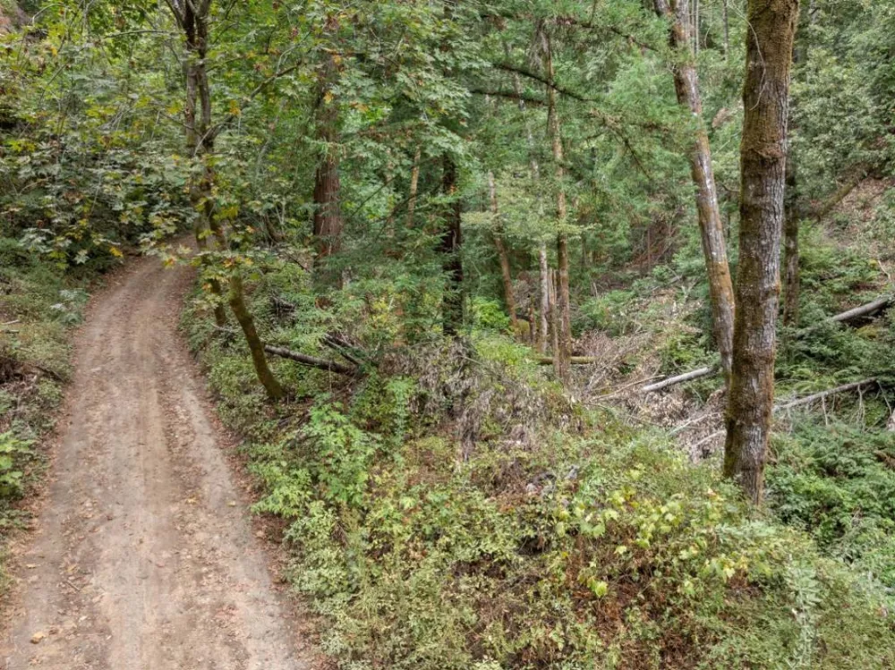 2 Bear Creek Boulder Creek, CA 95006