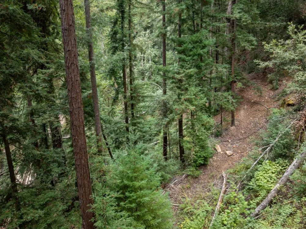 2 Bear Creek Boulder Creek, CA 95006