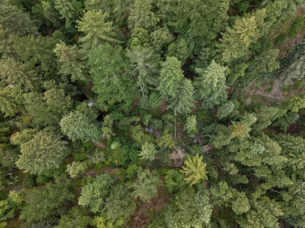 2 Bear Creek Boulder Creek, CA 95006