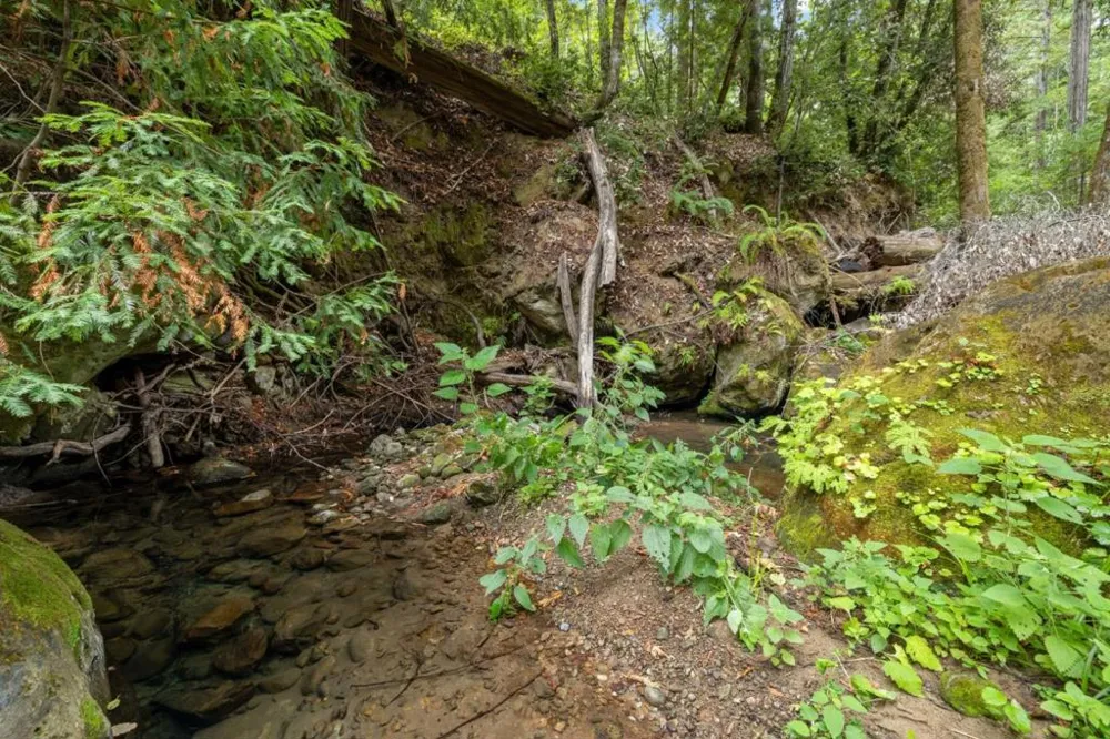 2 Bear Creek Boulder Creek, CA 95006