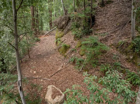 2 Bear Creek