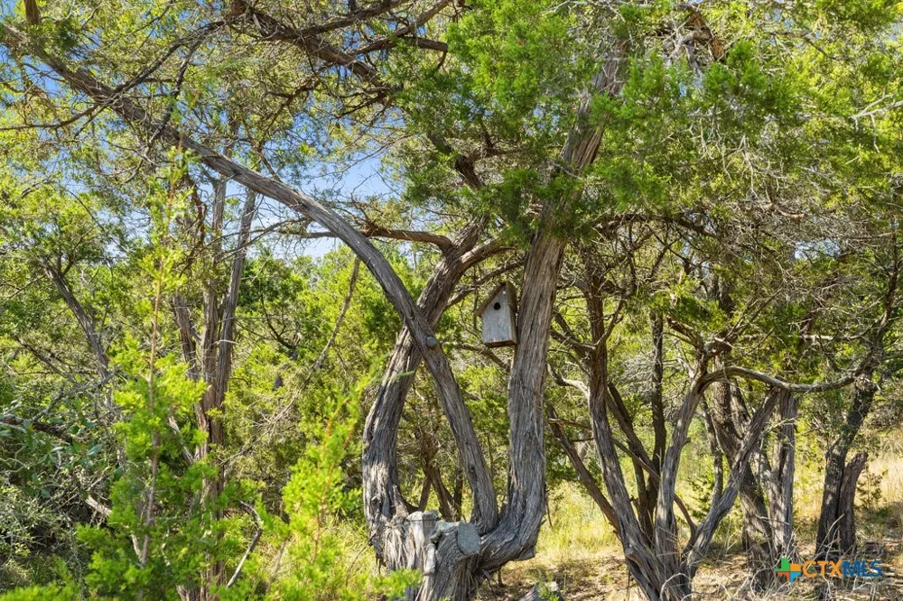 3 Ranch Road 165 Blanco, TX 78606