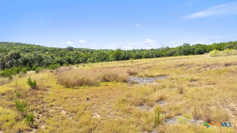 3 Ranch Road 165 Blanco, TX 78606