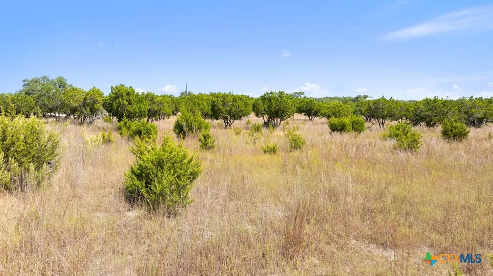 3 Ranch Road 165 Blanco, TX 78606