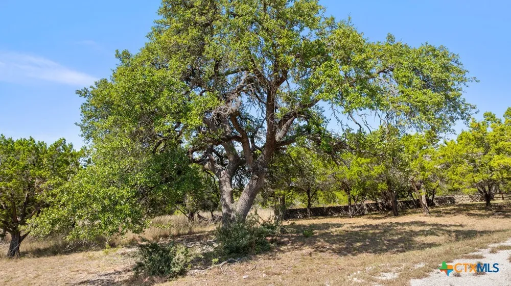 3 Ranch Road 165 Blanco, TX 78606