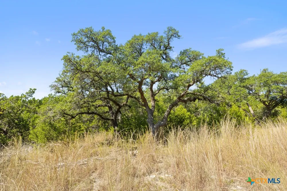 3 Ranch Road 165 Blanco, TX 78606