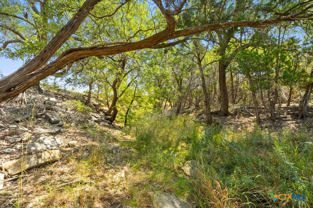 3 Ranch Road 165 Blanco, TX 78606