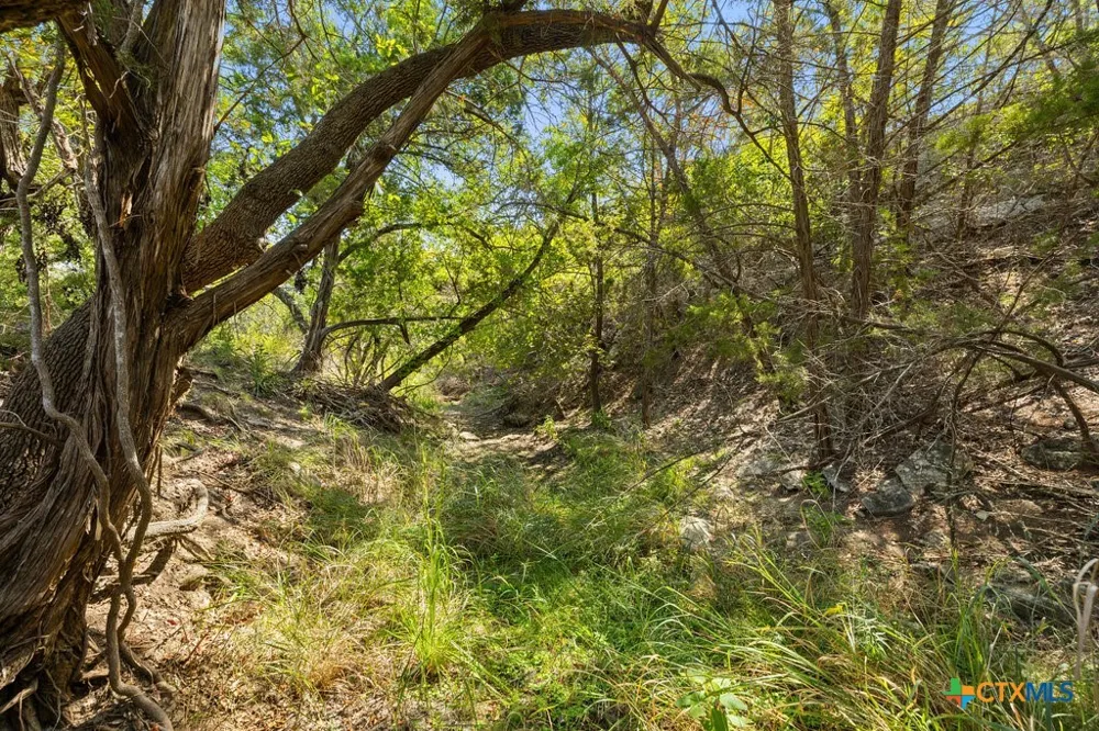 3 Ranch Road 165 Blanco, TX 78606