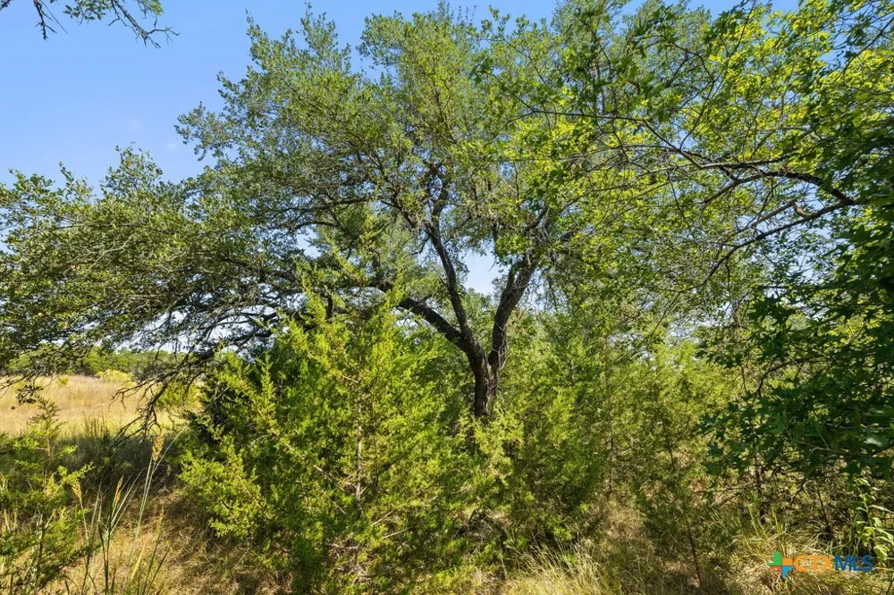 3 Ranch Road 165 Blanco, TX 78606