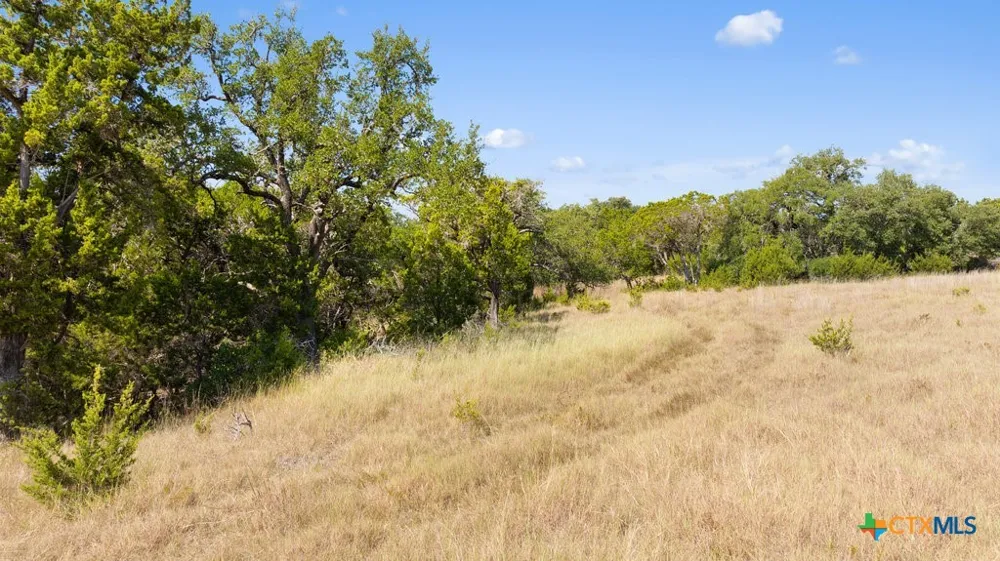 3 Ranch Road 165 Blanco, TX 78606