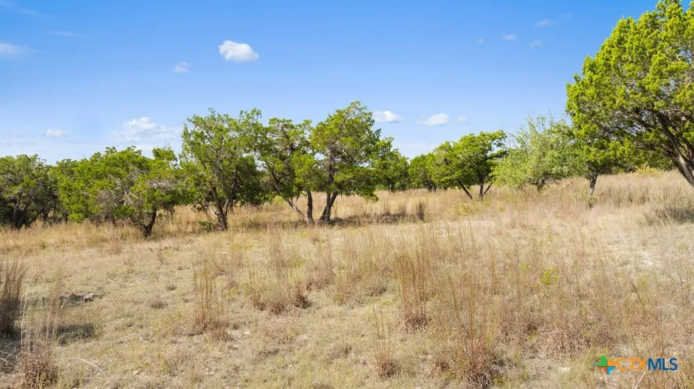 3 Ranch Road 165 Blanco, TX 78606