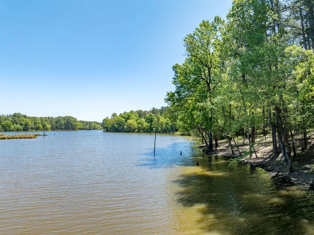 FM 3506 Frankston, TX 75763
