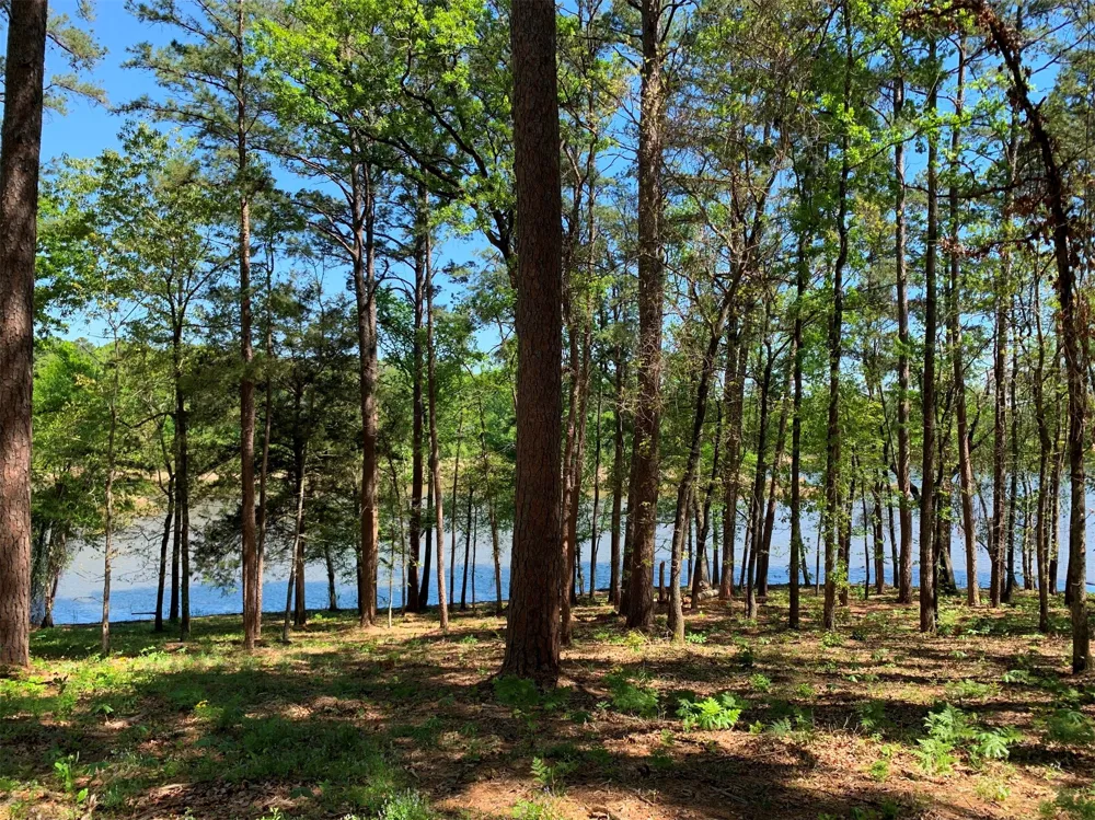 FM 3506 Frankston, TX 75763