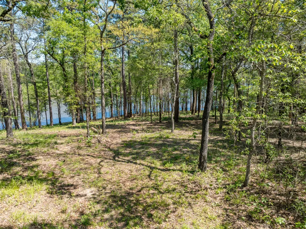 FM 3506 Frankston, TX 75763